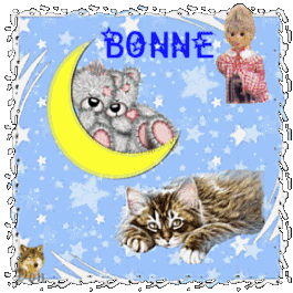 bonne nuit les petits